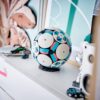 LEGO® Editions - Minge de fotbal 43019, 1498 piese